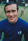 Ron Chopper Harris Hand Signed Photo autographed Chelsea