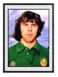 David Harvey hand signed autographed photo Leeds United